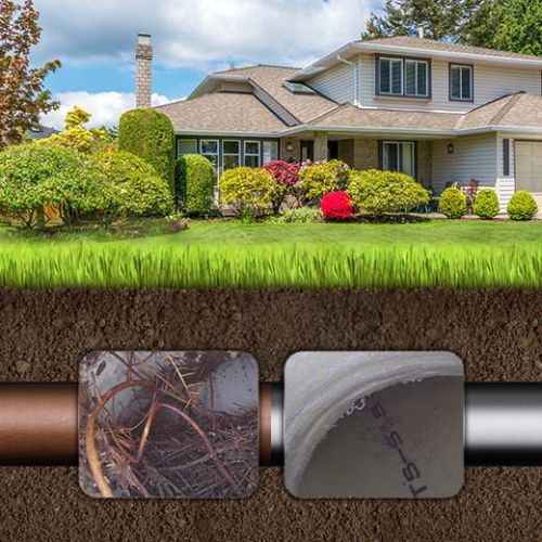 Fast Bethania Drain & Sewer Plumbers