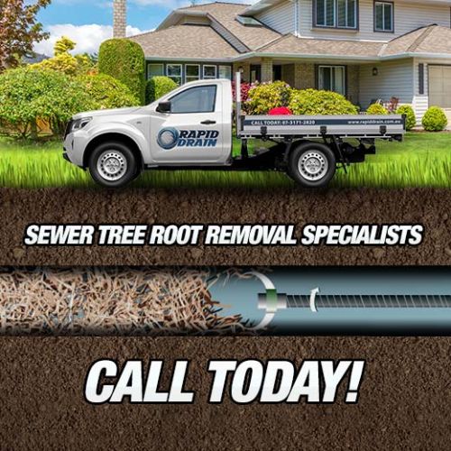 Sewer Tree Root Removal Specialists In Bethania